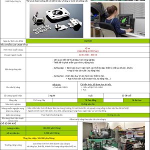 Order 77 – Thiết Kế Và Phát Triển Quy Trình Tự Động Hóa